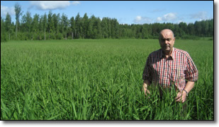 ruokohelppi
